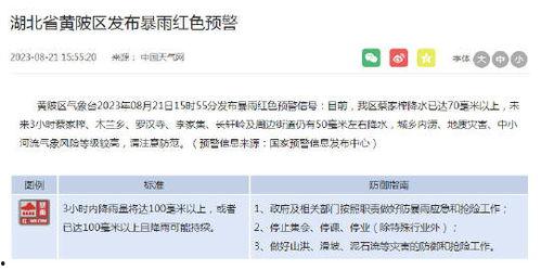 武汉新闻爆料电话号,揭秘城市脉搏，倾听市民心声  第2张